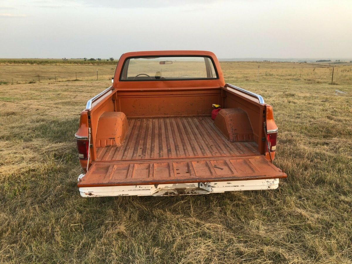1976 Chevrolet C-10 Standard Cab Pickup