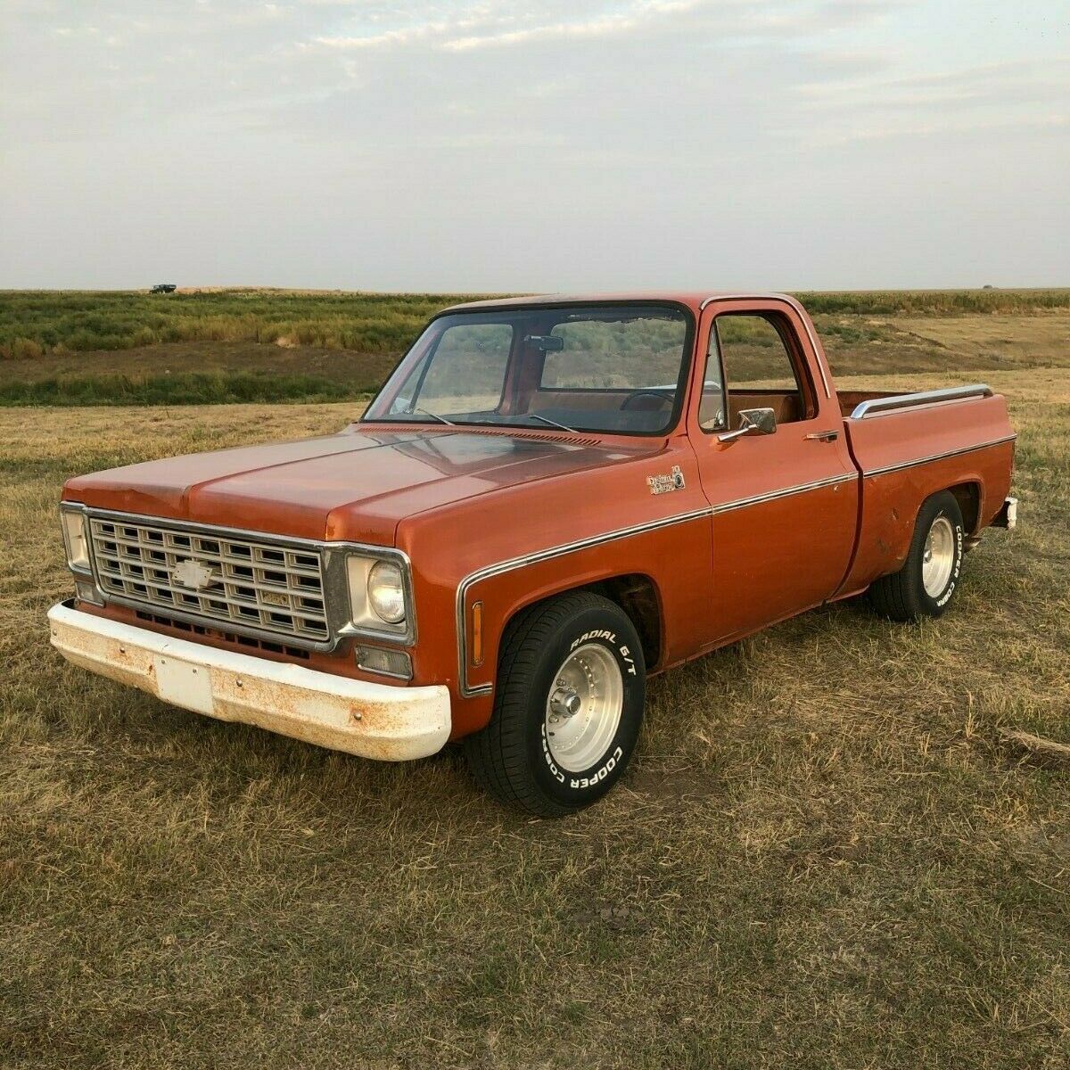 1976 Chevrolet C-10 Standard Cab Pickup