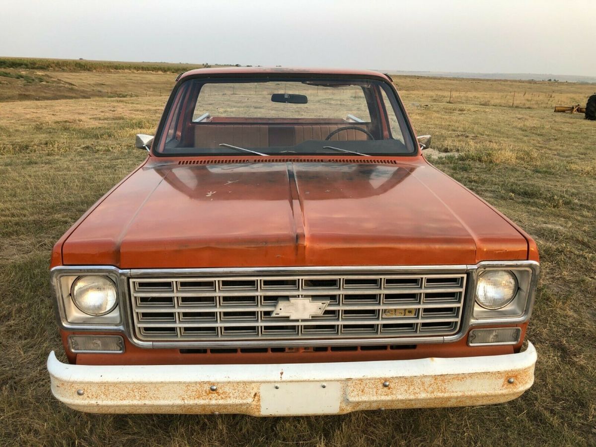 1976 Chevrolet C-10 Standard Cab Pickup
