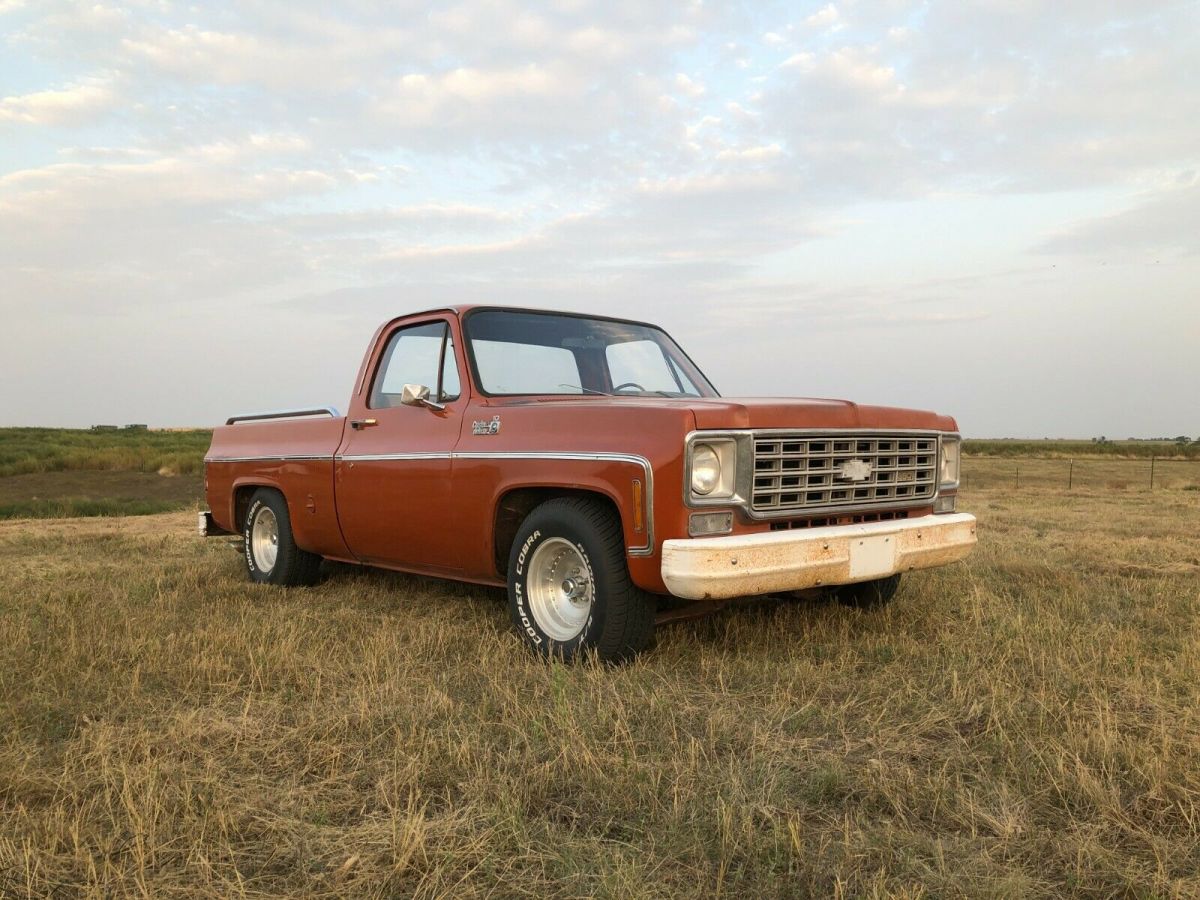 1976 Chevrolet C-10 Standard Cab Pickup