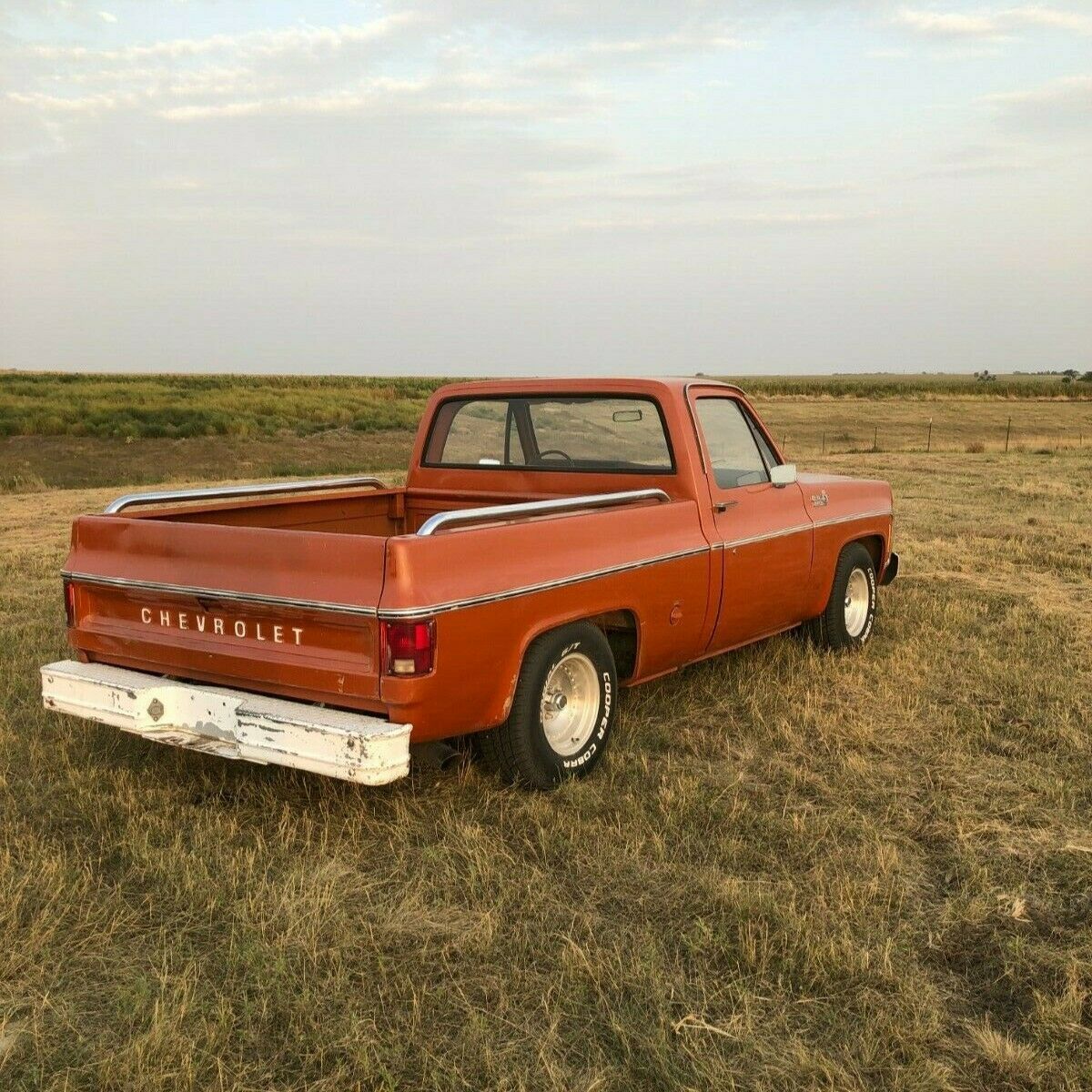 1976 Chevrolet C-10 Standard Cab Pickup