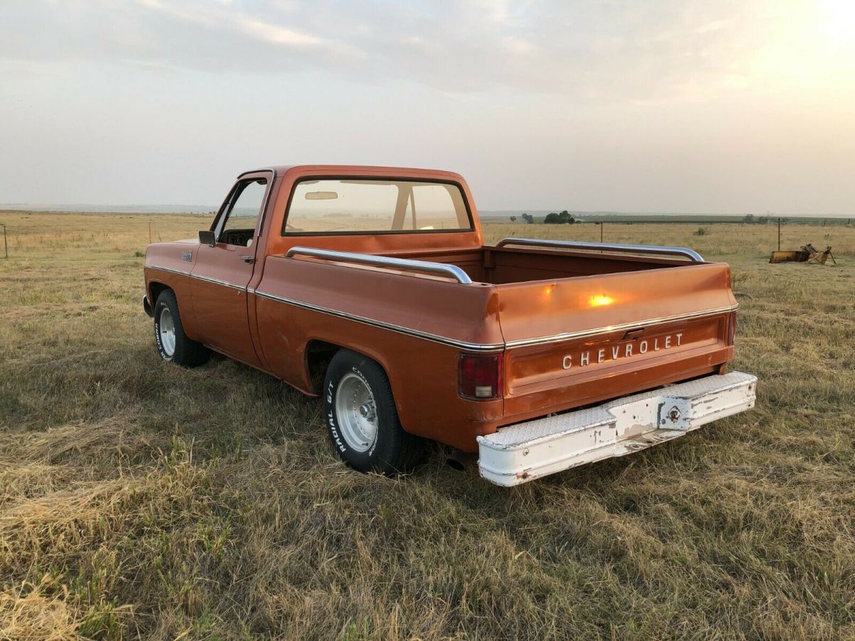 1976 Chevrolet C-10 Standard Cab Pickup