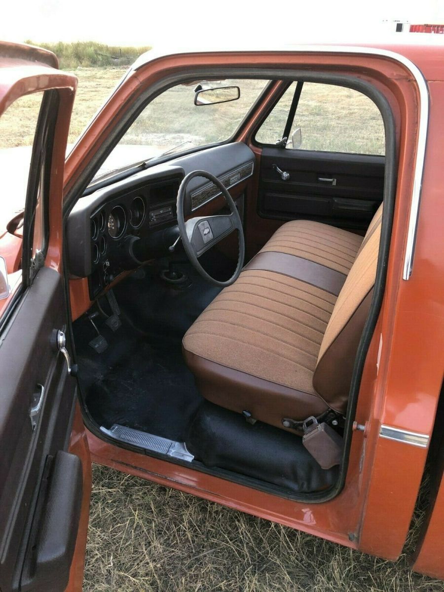 1976 Chevrolet C-10 Standard Cab Pickup