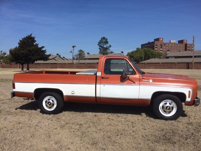 1976 Tan Chevrolet Other Pickups Regular cab