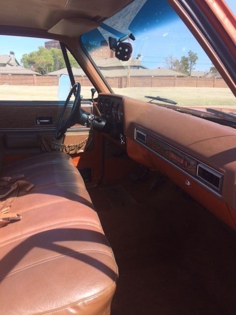 1976 Tan Chevrolet Other Pickups Regular cab