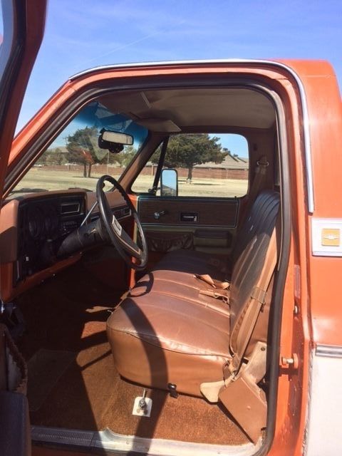 1976 Tan Chevrolet Other Pickups Regular cab