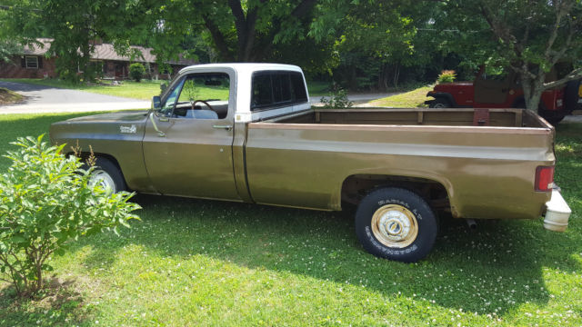 1976 Green Chevrolet C-10