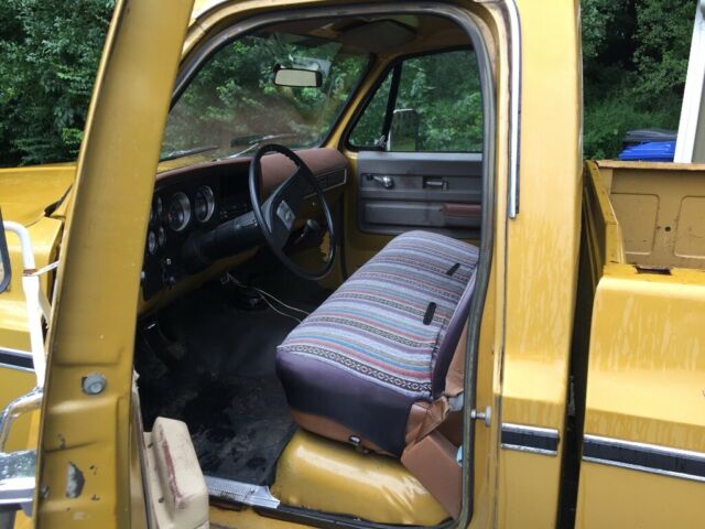 1976 Gold Chevrolet C/K Pickup 2500 Standard Cab Pickup