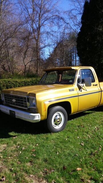 1976 Gold Chevrolet C/K Pickup 2500 Standard Cab Pickup