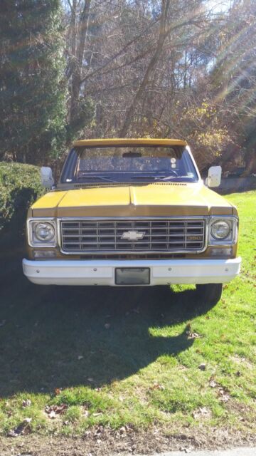 1976 Gold Chevrolet C/K Pickup 2500 Standard Cab Pickup