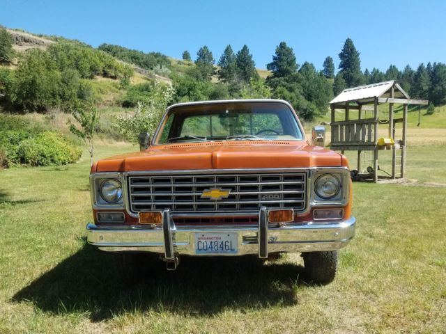 1976 Grecian Bronze Chevrolet C/K Pickup 1500 Standard Cab Pickup