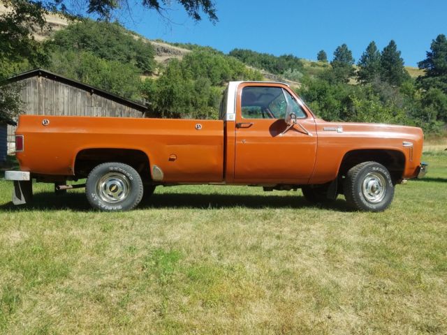 1976 Grecian Bronze Chevrolet C/K Pickup 1500 Standard Cab Pickup