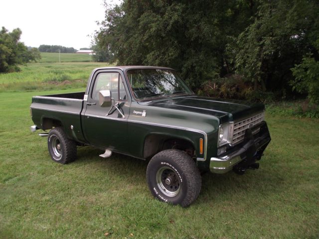 1976 Chevrolet Other Pickups