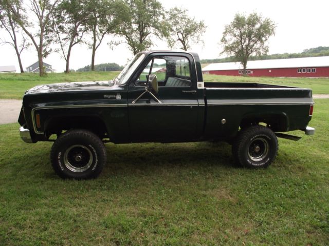 1976 Chevrolet Other Pickups