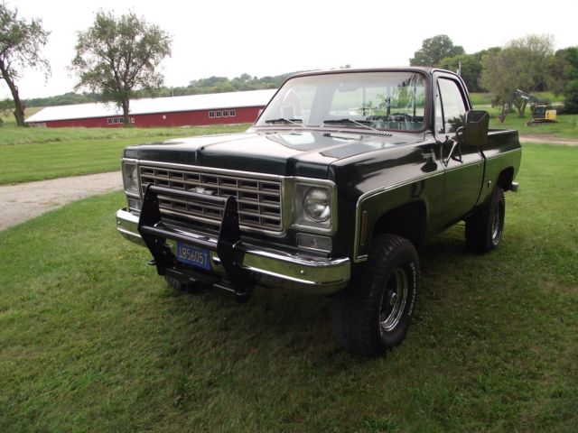 1976 Chevrolet Other Pickups