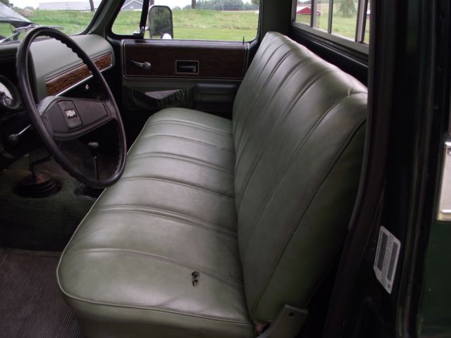 1976 Chevrolet Other Pickups
