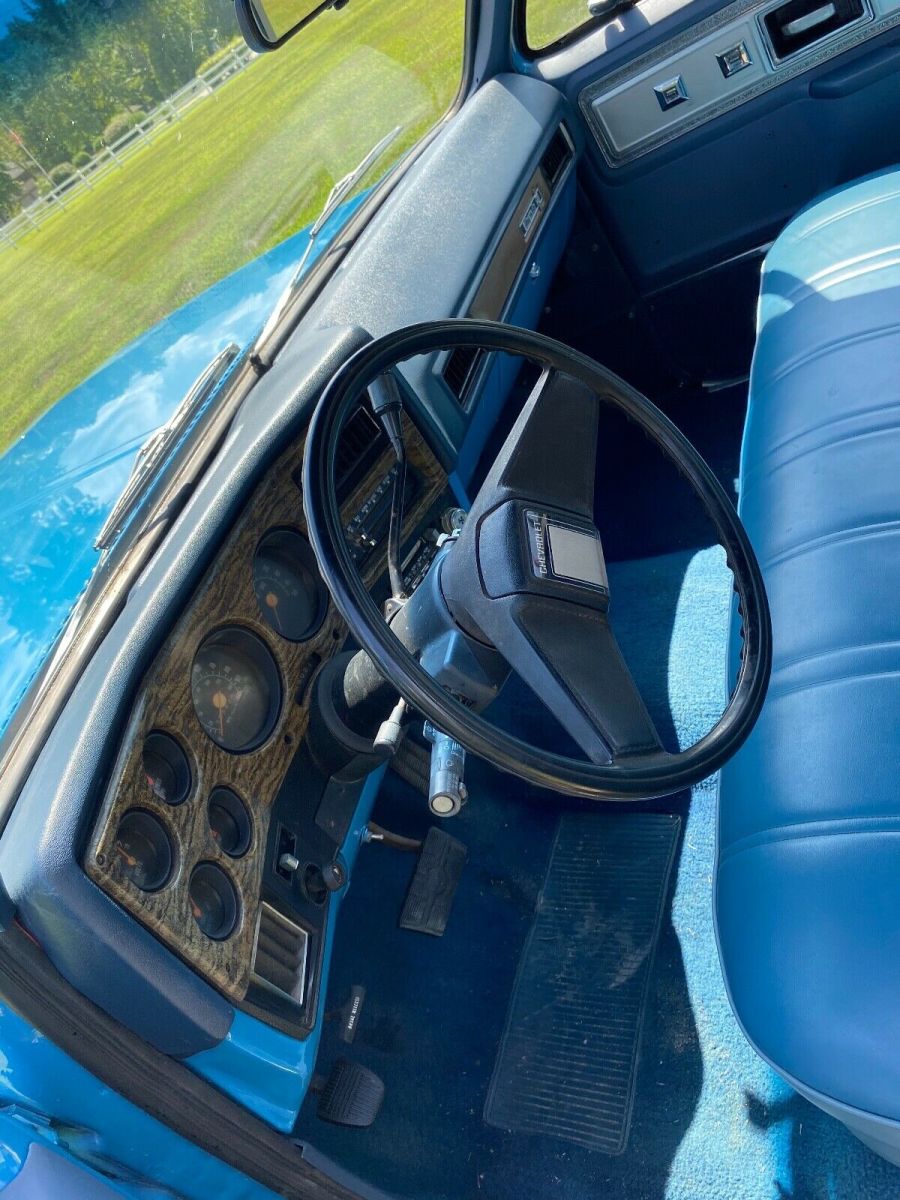 1976 Chevrolet C-10