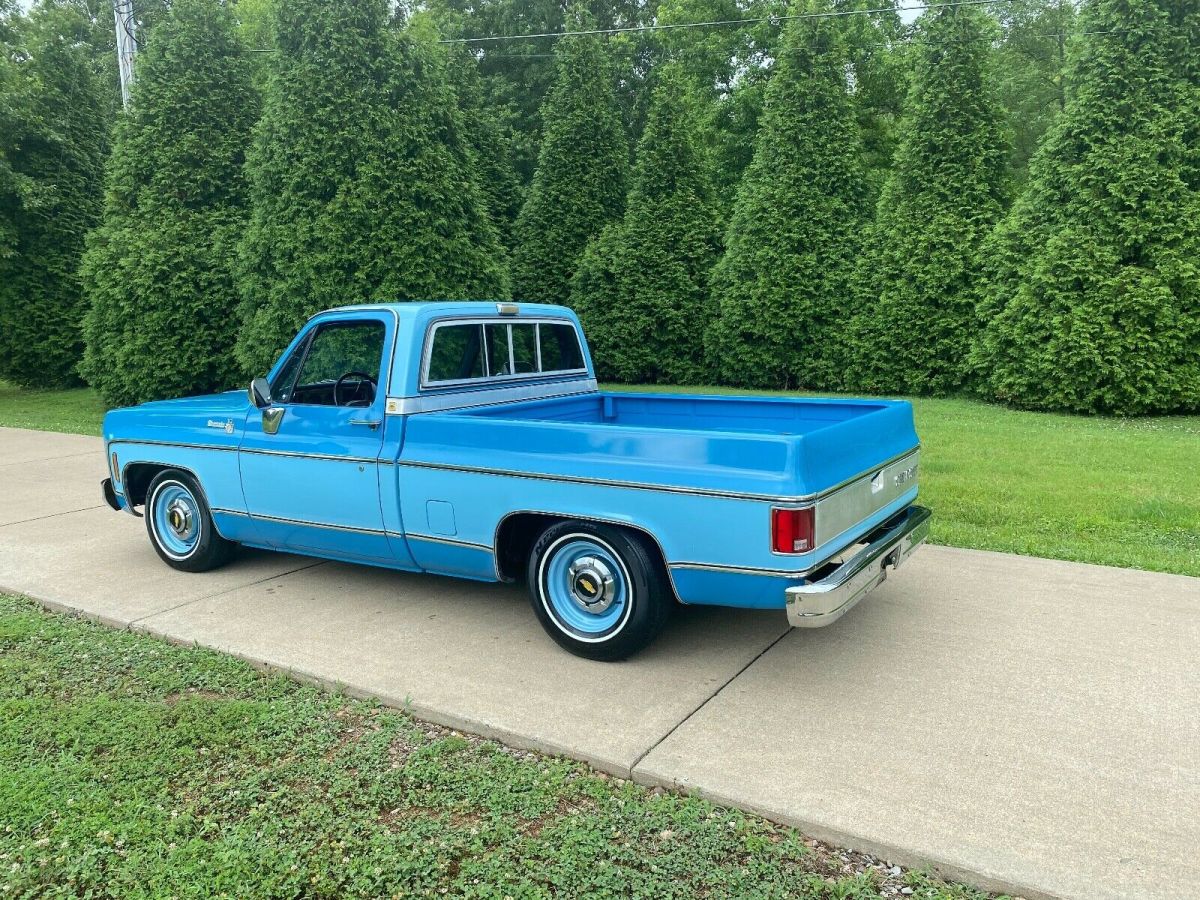 1976 Chevrolet C-10