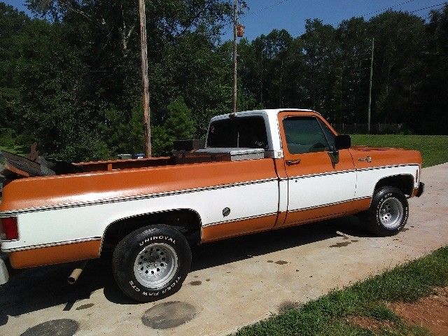 1976 Orange Chevrolet C-10