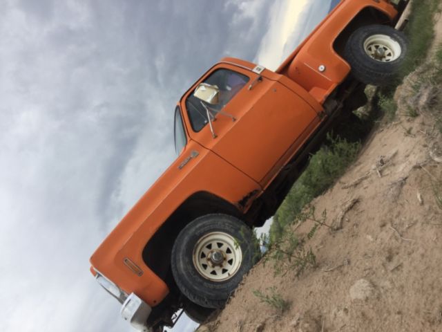1976 Orange Chevrolet 1500 Step side