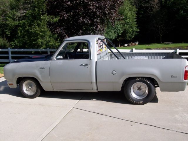 1976 Silver Dodge Other Pickups truck