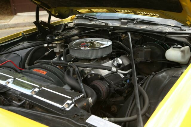 1976 Yellow Chevrolet El Camino TRUCK