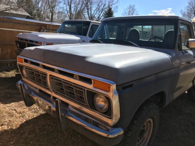 1976 Primer Ford F-100 Standard Cab Pickup