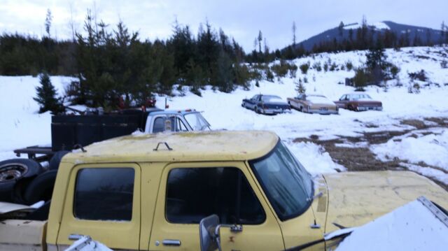 1976 Yellow Ford F-250 Crew Cab Pickup