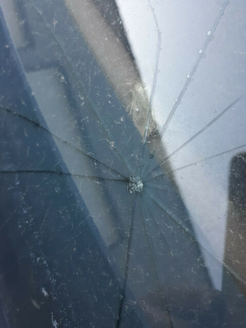 1976 Cream / Flat Black Ford LTD Wagon