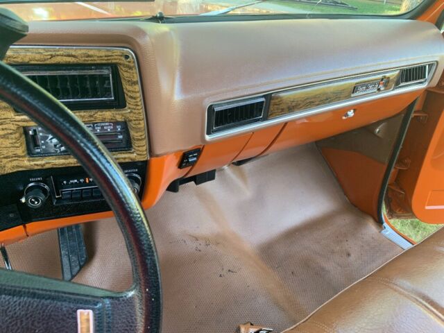 1976 Orange Chevrolet Chevy Pickup Standard Cab Pickup