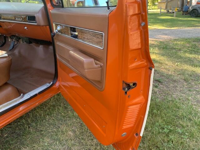 1976 Orange Chevrolet Chevy Pickup Standard Cab Pickup