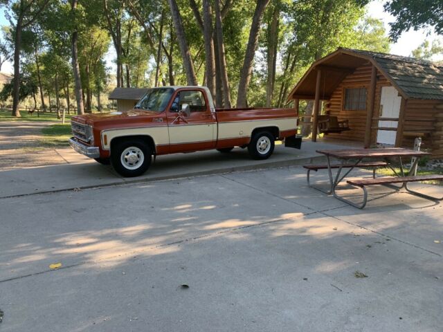 1976 Orange Chevrolet Chevy Pickup Standard Cab Pickup