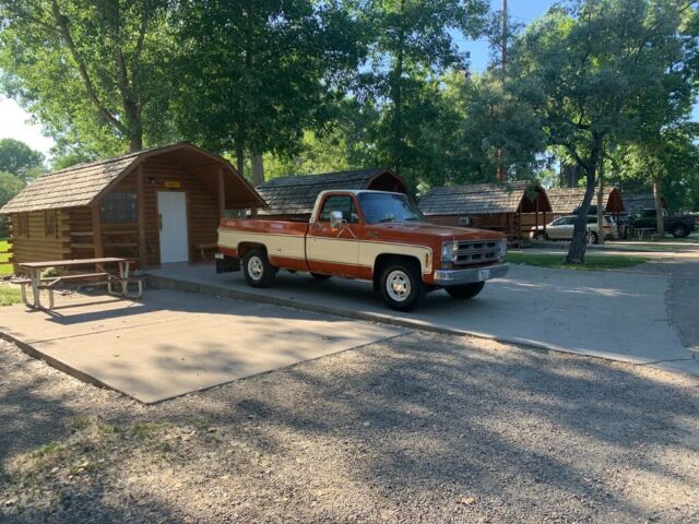 1976 Orange Chevrolet Chevy Pickup Standard Cab Pickup