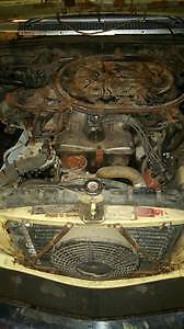 1976 grandma butternut  off yellow Mercedes-Benz 200-Series