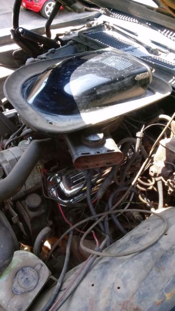 1976 Black Pontiac Trans Am