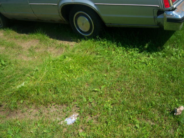 1977 Gray Oldsmobile Eighty-Eight Sedan