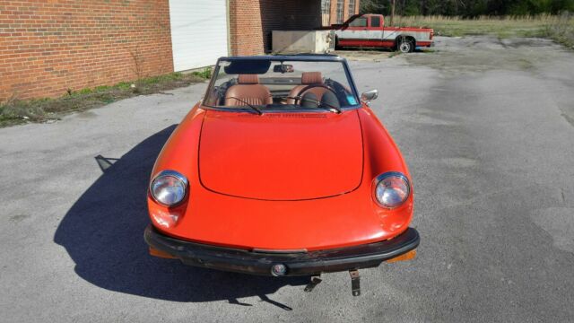 1977 Alfa Romeo Spider