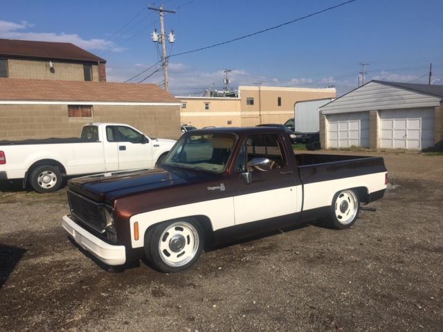 1977 White & Gray Chevrolet C-10 Extended Cab Pickup