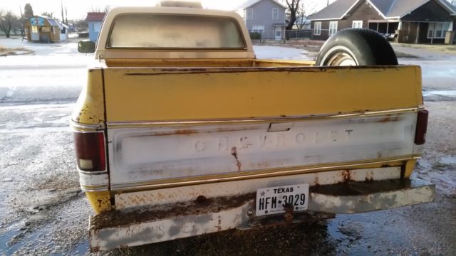 1977 Yellow Chevrolet C-10 Standard Cab Pickup
