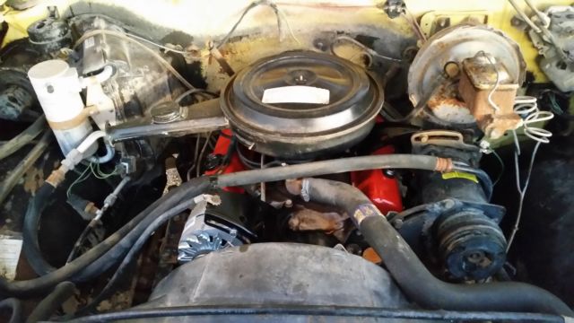 1977 Yellow Chevrolet C-10 Standard Cab Pickup