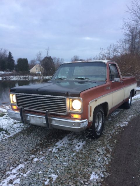 1977 Russet Chevrolet C-10 Regular cab short bed