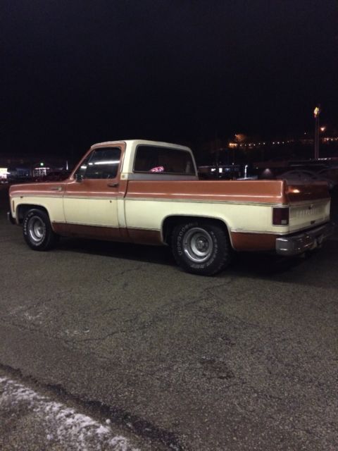 1977 Russet Chevrolet C-10 Regular cab short bed