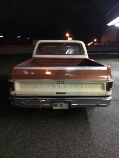 1977 Russet Chevrolet C-10 Regular cab short bed