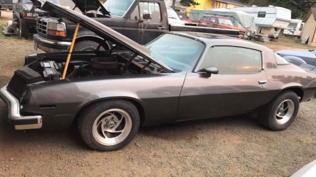 1977 Gunmetal grey with flake Chevrolet Camaro Coupe