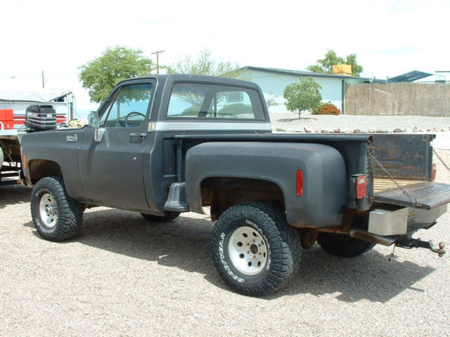 1977 Gray Chevrolet C-10 Pickup