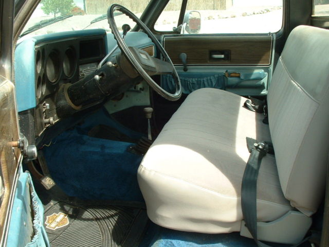 1977 Gray Chevrolet C-10 Pickup