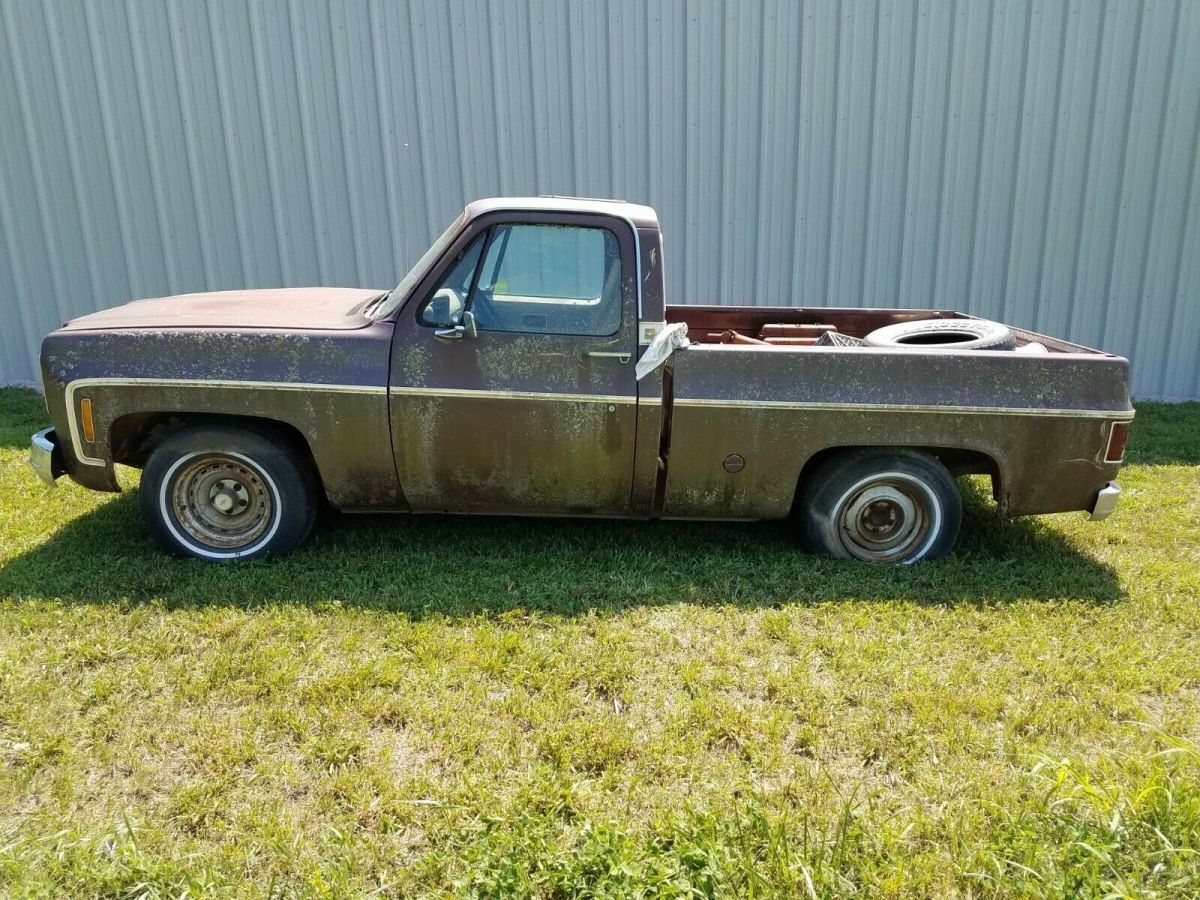 1977 Brown Chevrolet C-10 Standard Cab Pickup