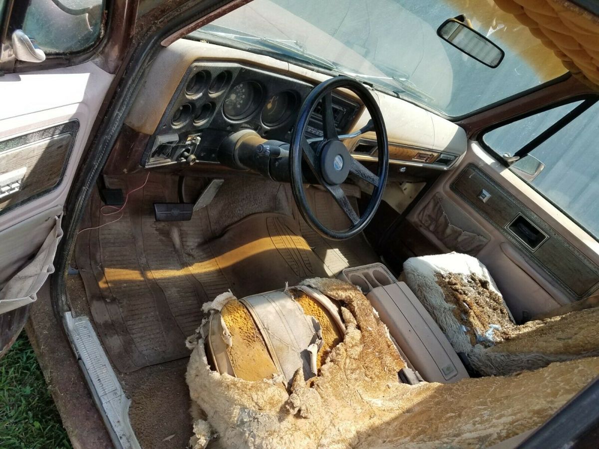 1977 Brown Chevrolet C-10 Standard Cab Pickup