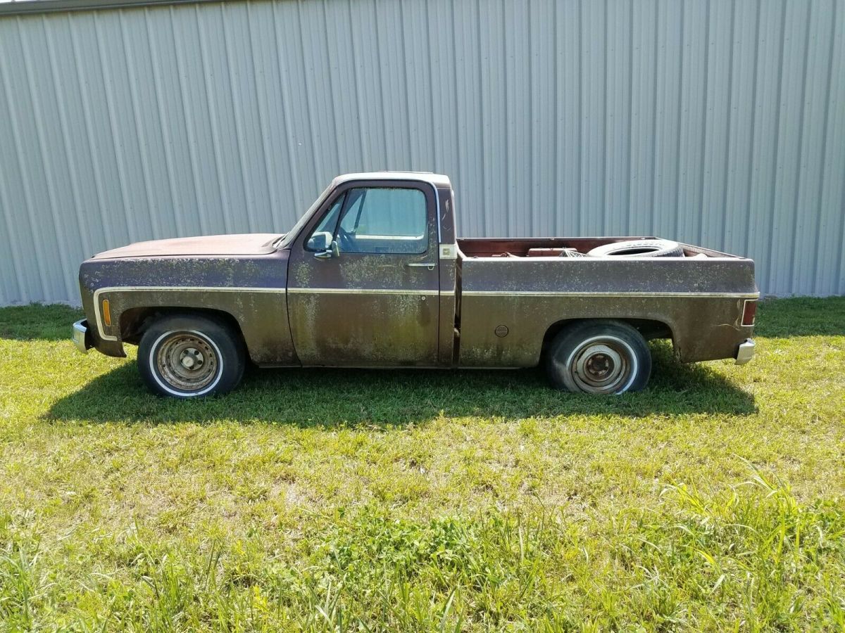 1977 Brown Chevrolet C-10 Standard Cab Pickup