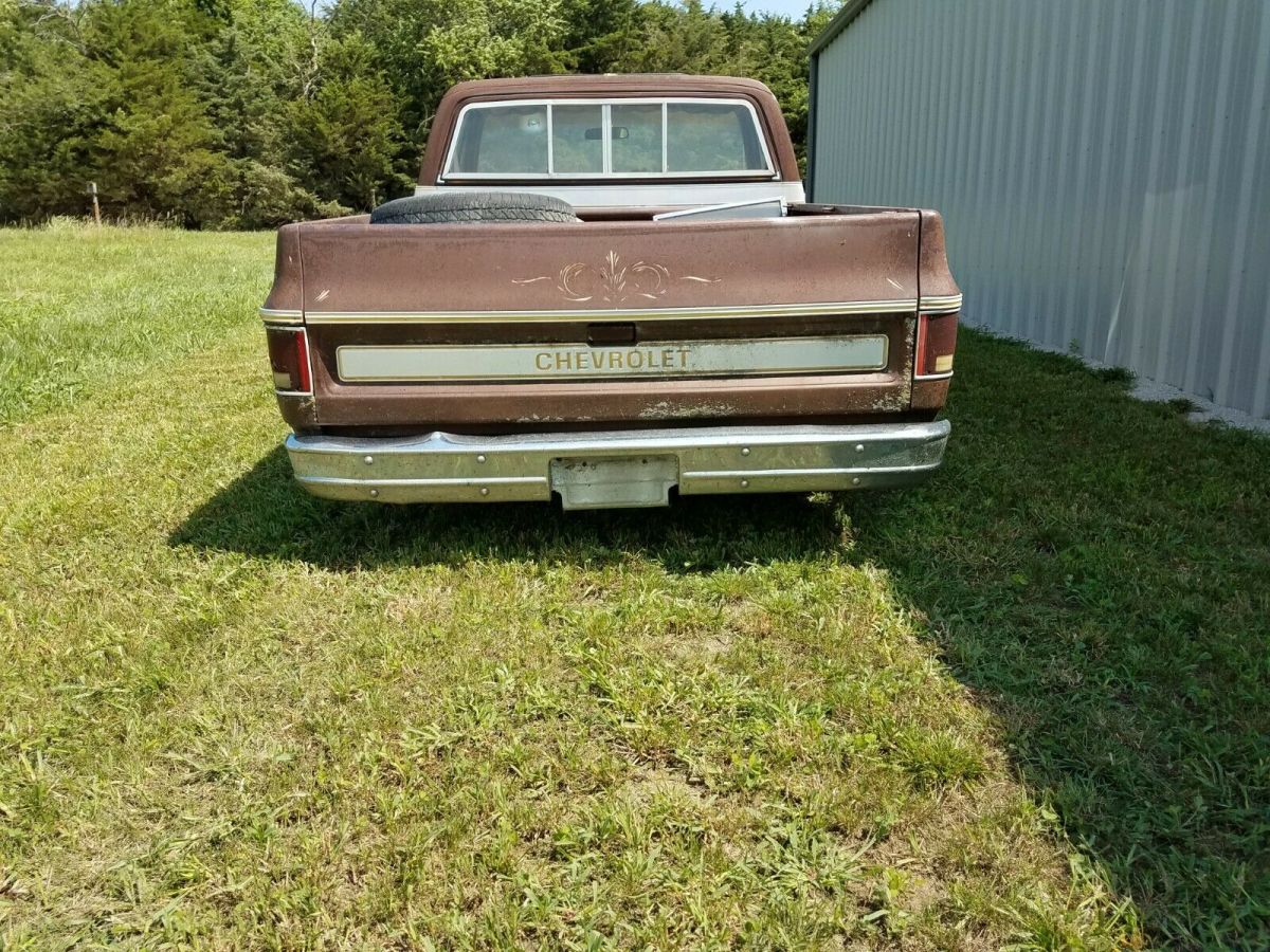 1977 Brown Chevrolet C-10 Standard Cab Pickup